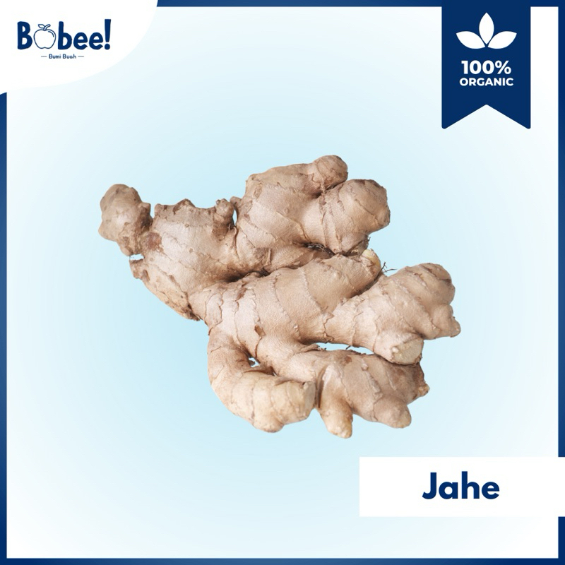 

Jahe Super 250gr Fresh & Premium | Bobee.official - (Instant/Sameday)