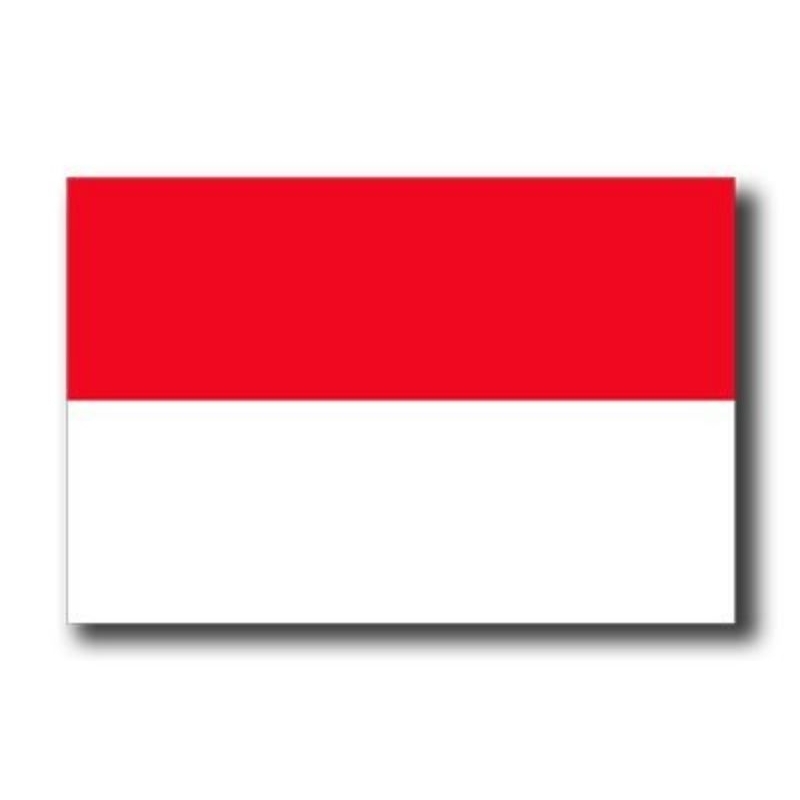 BENDERA MERAH PUTIH/BENDERA MERAH PUTIH STIK/BENDERA MERAH PUTIH PLASTIK/BENDERA MERAH PUTIH STIK PE