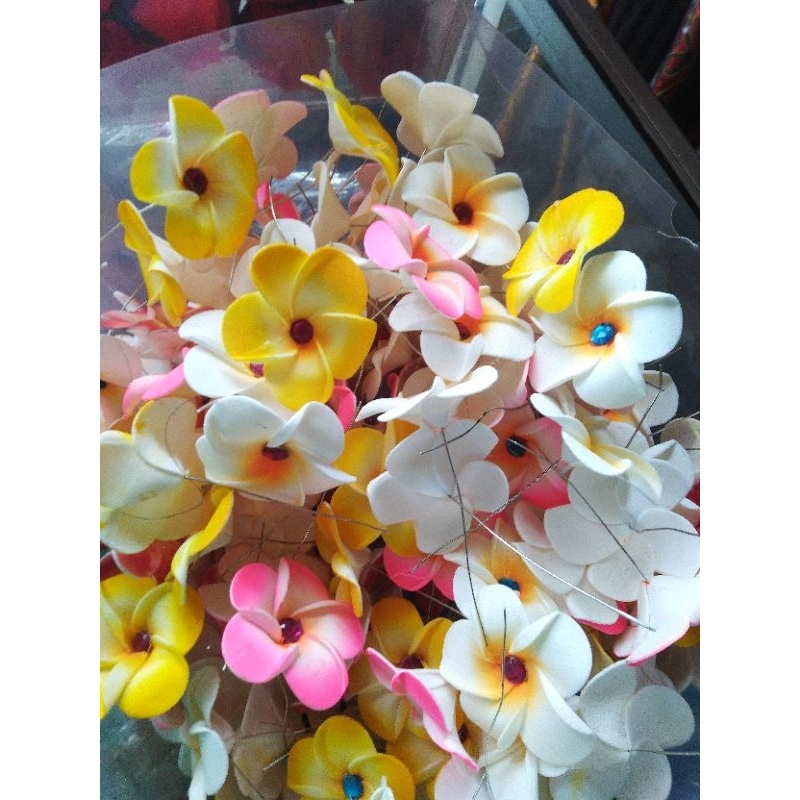 bunga kamboja bijian