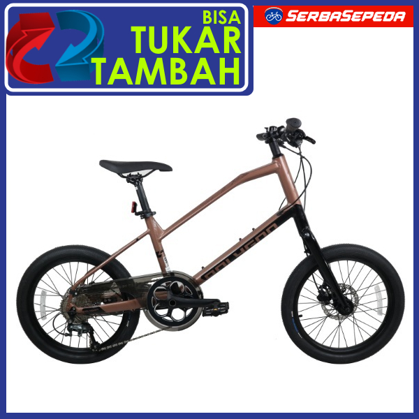 Sepeda Urban - Polygon Zeta 2