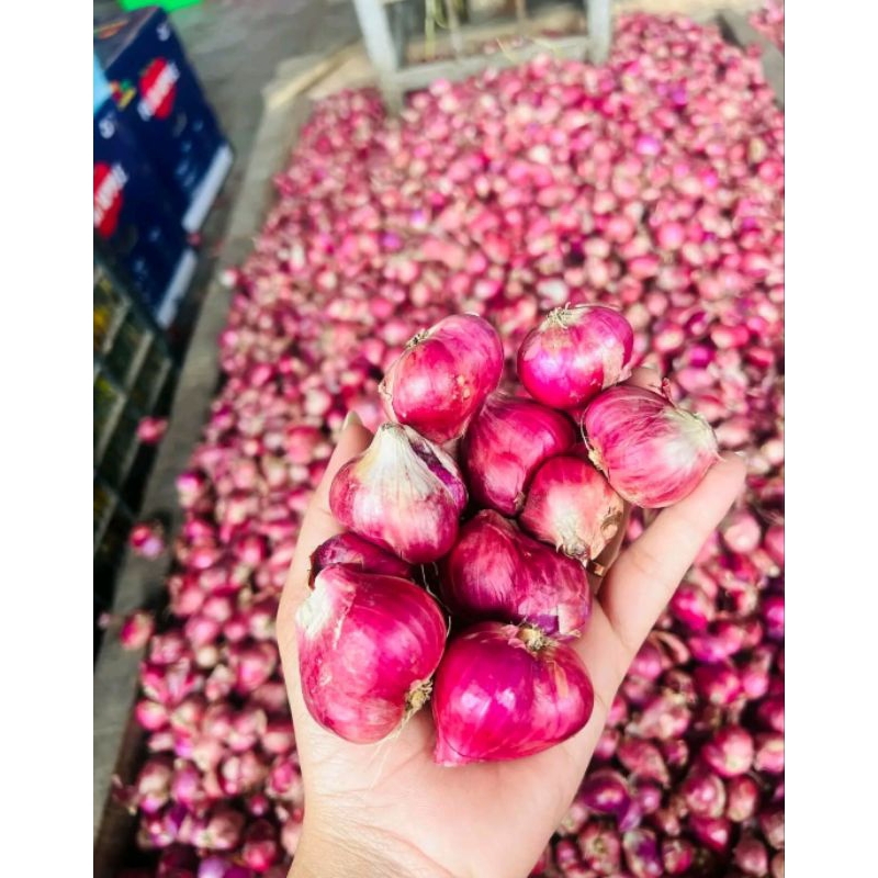 Bawang Merah Lokal 1 Kg Super Besar