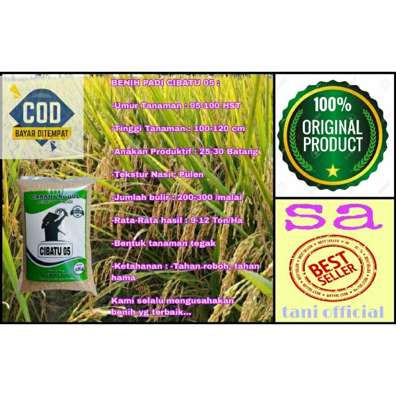 Benih Padi Unggul Premium CIBATU 05 kemasan 5kg