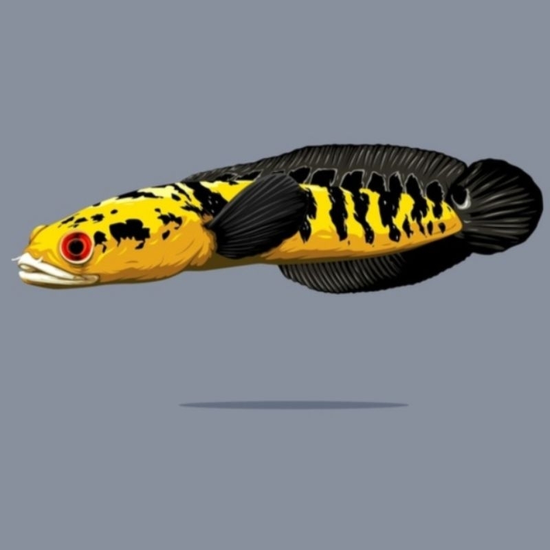 

Promo 30% Stiker Ys batik