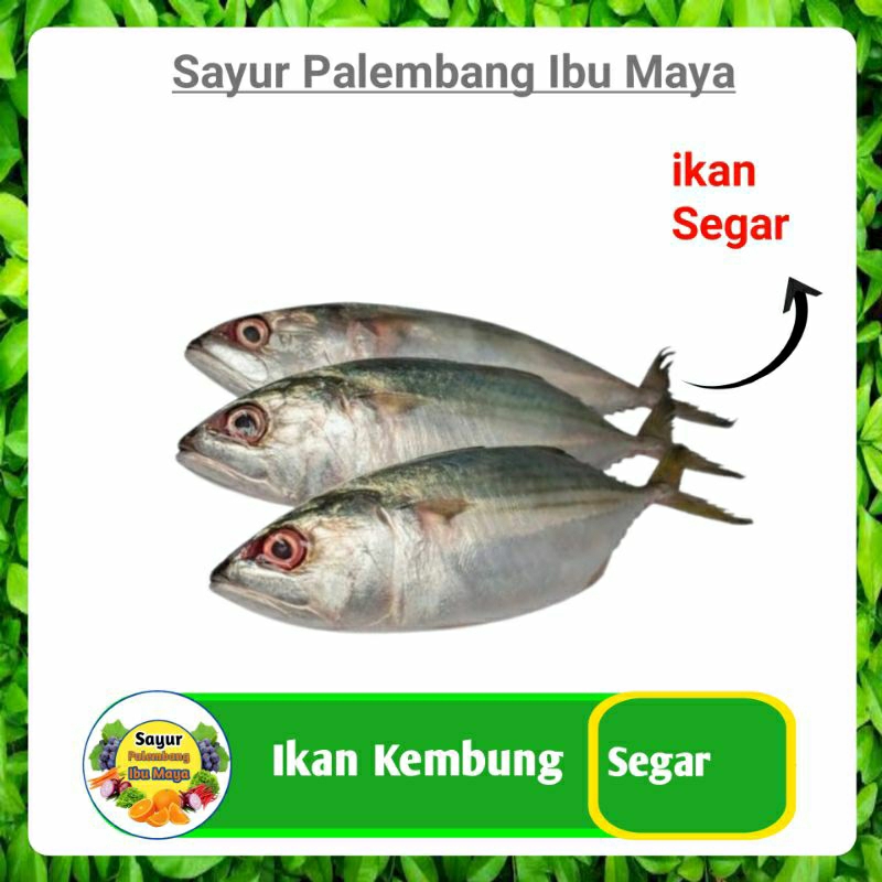 

Ikan Kembung - Sayur Segar Online Palembang