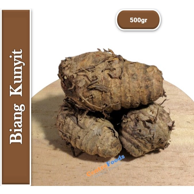 

Biang Kunyit - Bonggol Pala Kunyit Fresh | 500gr [ Harga Per 0,5 Kg ]