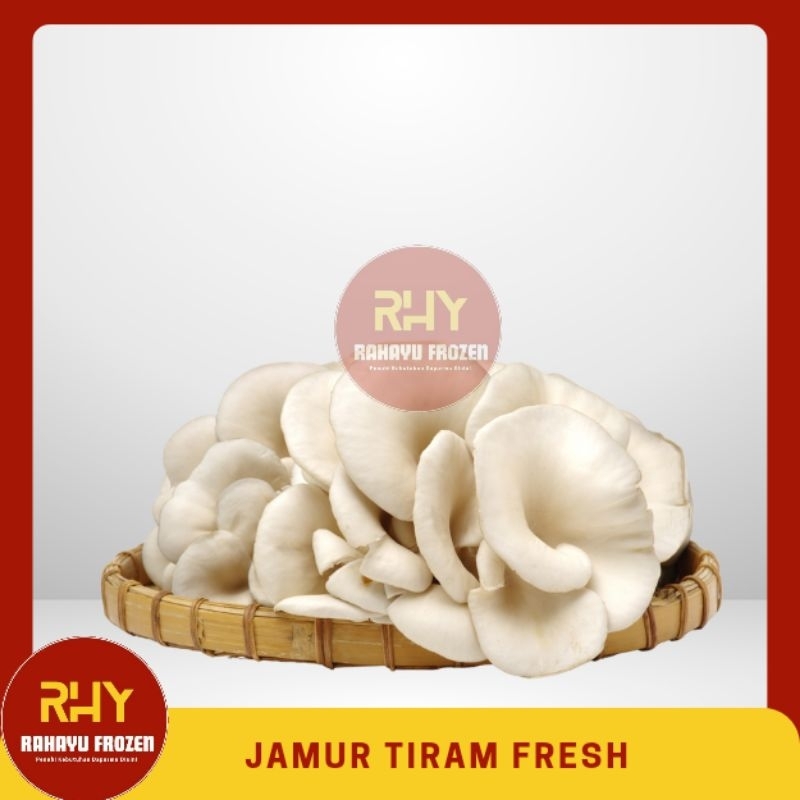 

[Pre-Order] JAMUR TIRAM FRESH