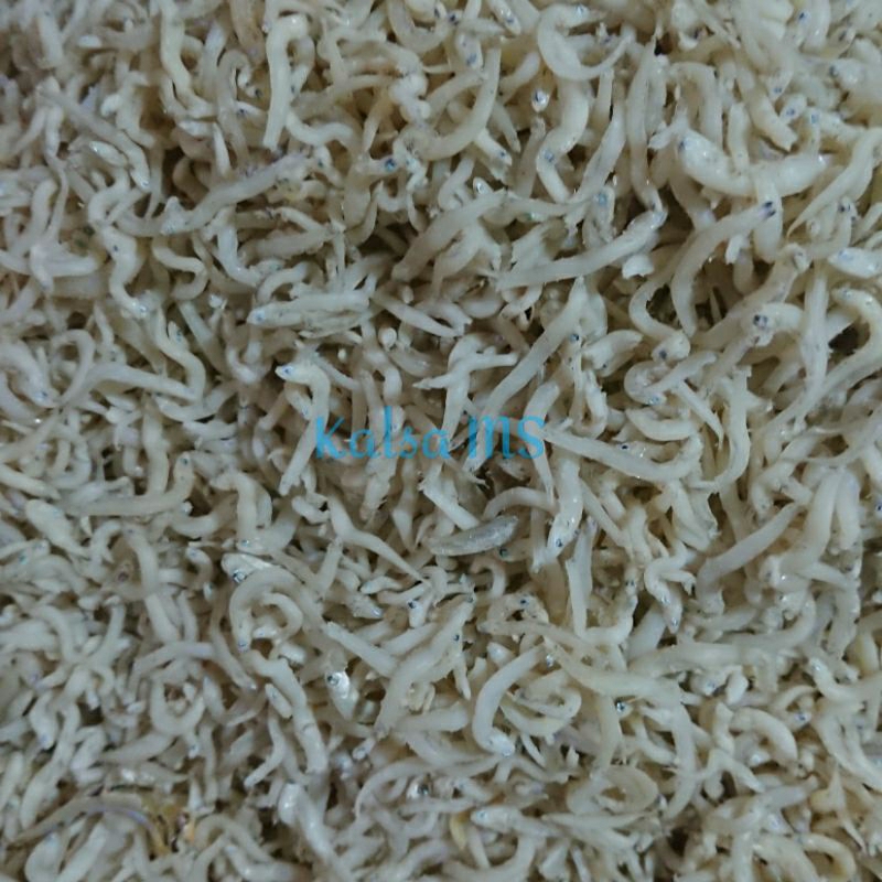 

Teri medan