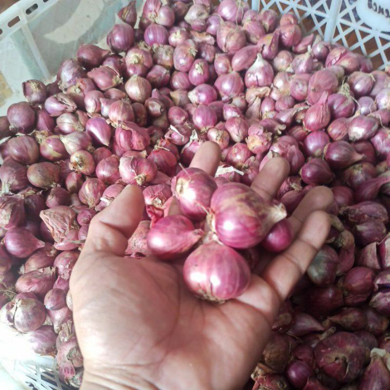 

bawang merah probolinggo murah. 500g