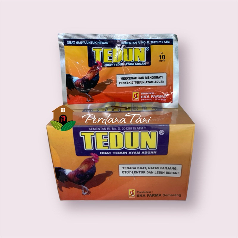 TEDUN / ayam aduan / urat kaki