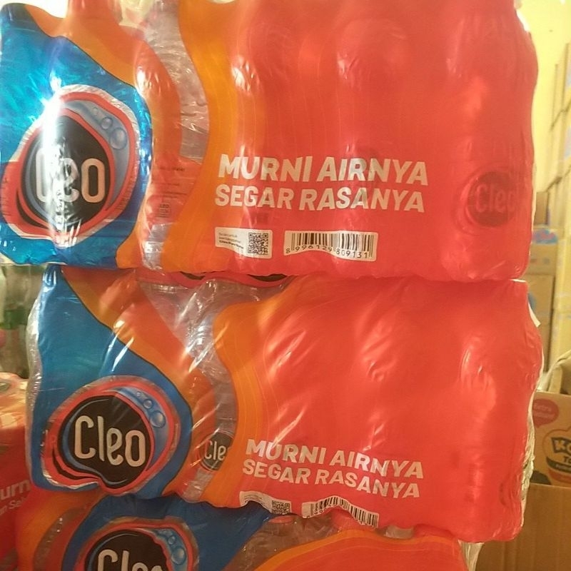 

Cleo mini