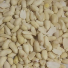 

Kacang Tanah Kupas Mentah, Kacang Kupas 1 Kg ( Jumbo 25/29 )