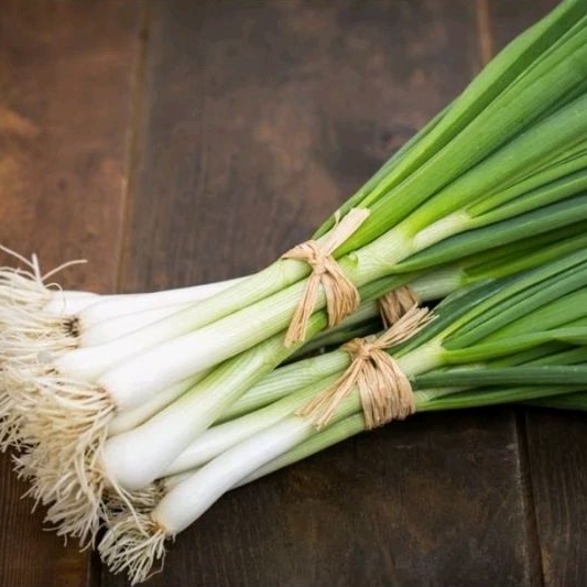 

DAUN BAWANG