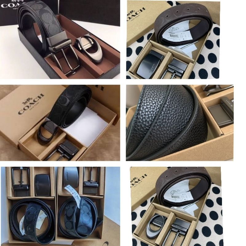 coach belt men ikat pinggang pria