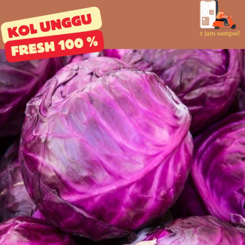 

Kol unggu Kubis Unggu 1pcs Fresh Sayur Kol Salad Sayur KIRIM INSTAN BANDUNG