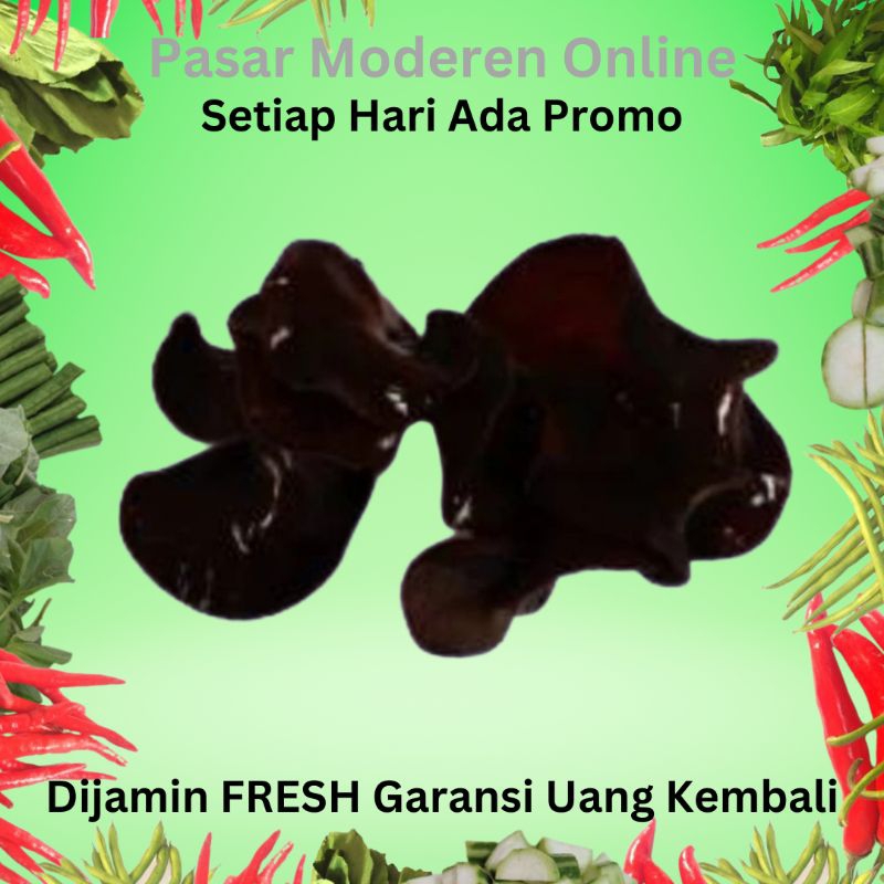 

JAMUR KUPING SEGAR 250 GRAM