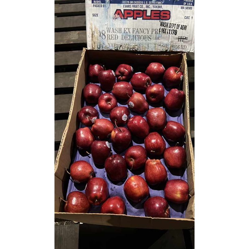 

Apel Red apel merah import 1kg