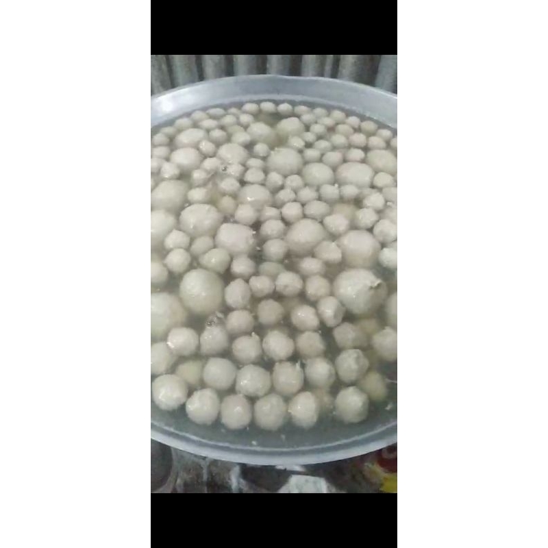 

Bakso 100% asli daging sapi yg Besar Polos dan Urat