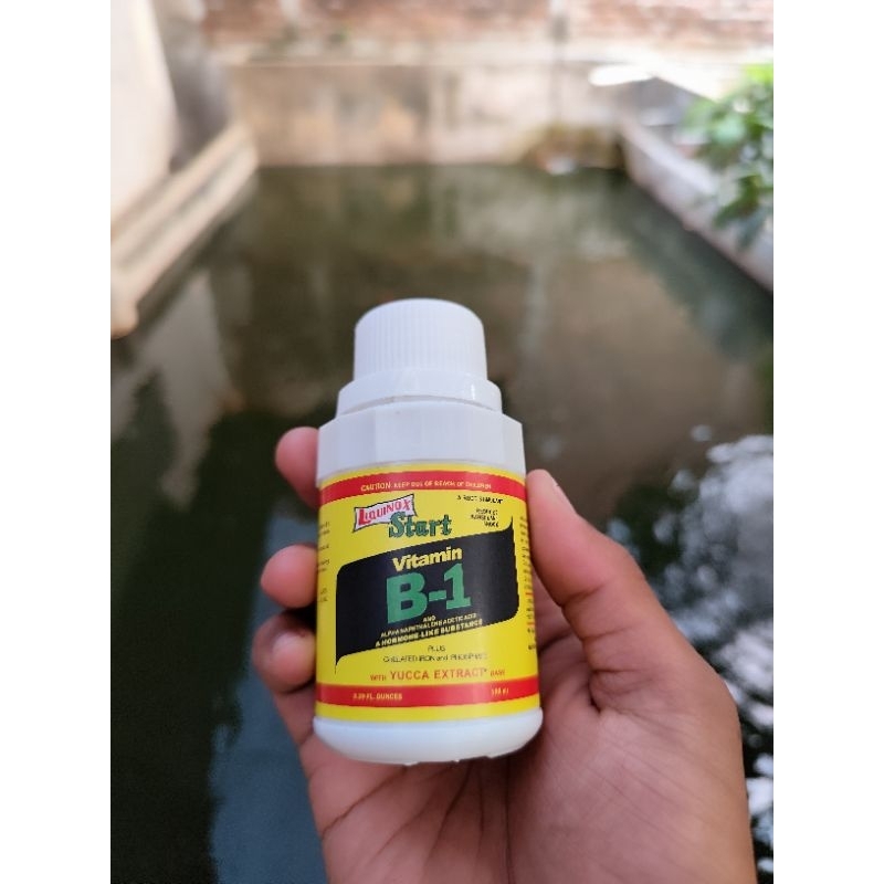 Pupuk Nutrisi VITAMIN B1