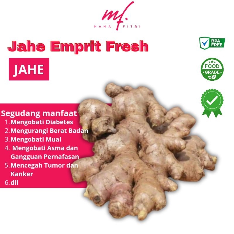 

JAHE EMPRIT SEGAR MAMA FITRI 1KG JAHE PUTIH ORGANIK
