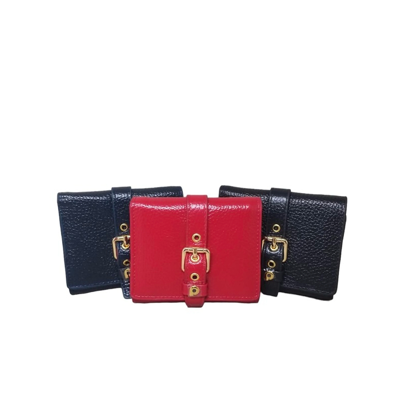 dompet papillon D848