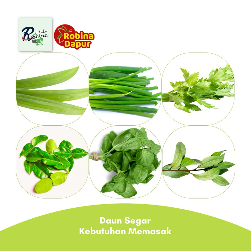 

Daun Seledri Salam Kemangi Jeruk Pandan Bawang