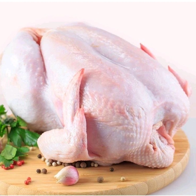 

AYAM NEGRI UTUH 1 EKOR