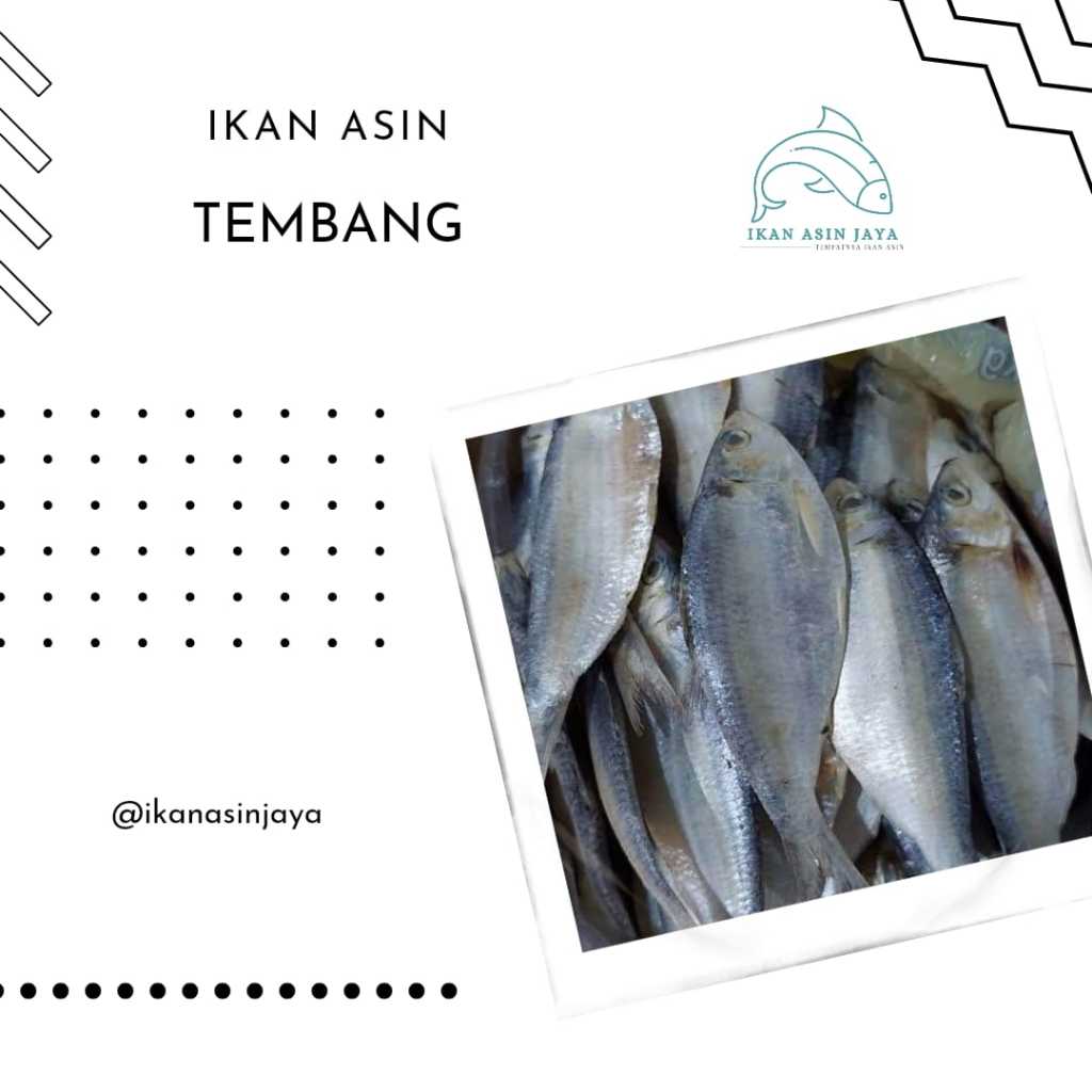 

Ikan Asin Tembang Sisik 1 Kg