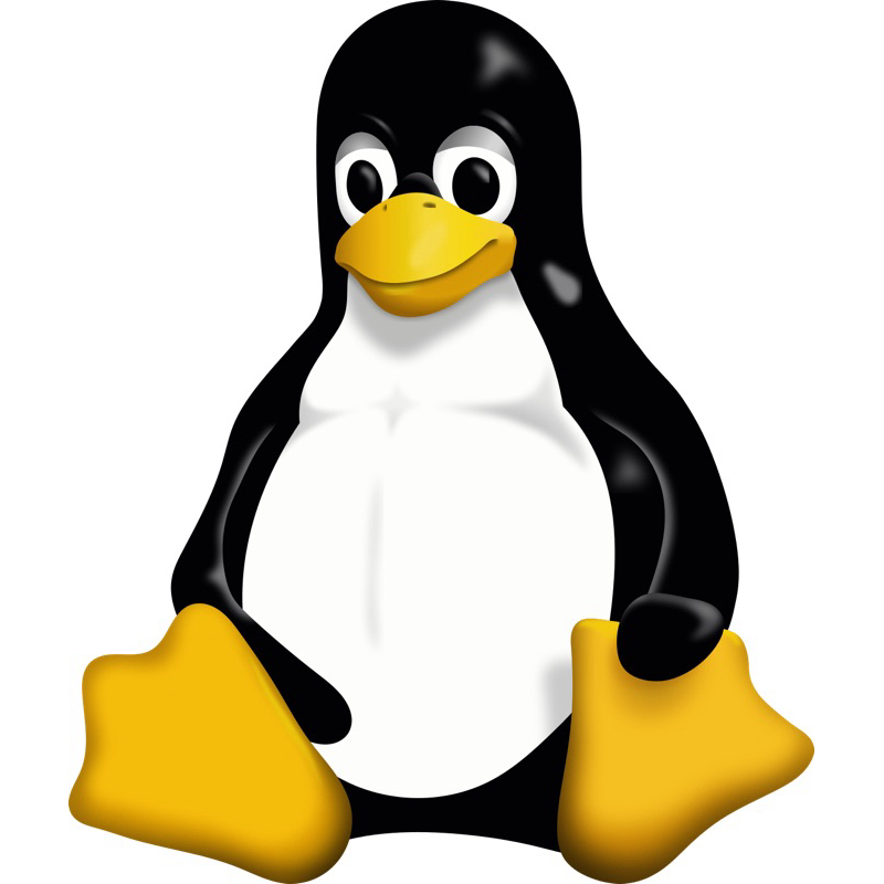 VPS LINUX