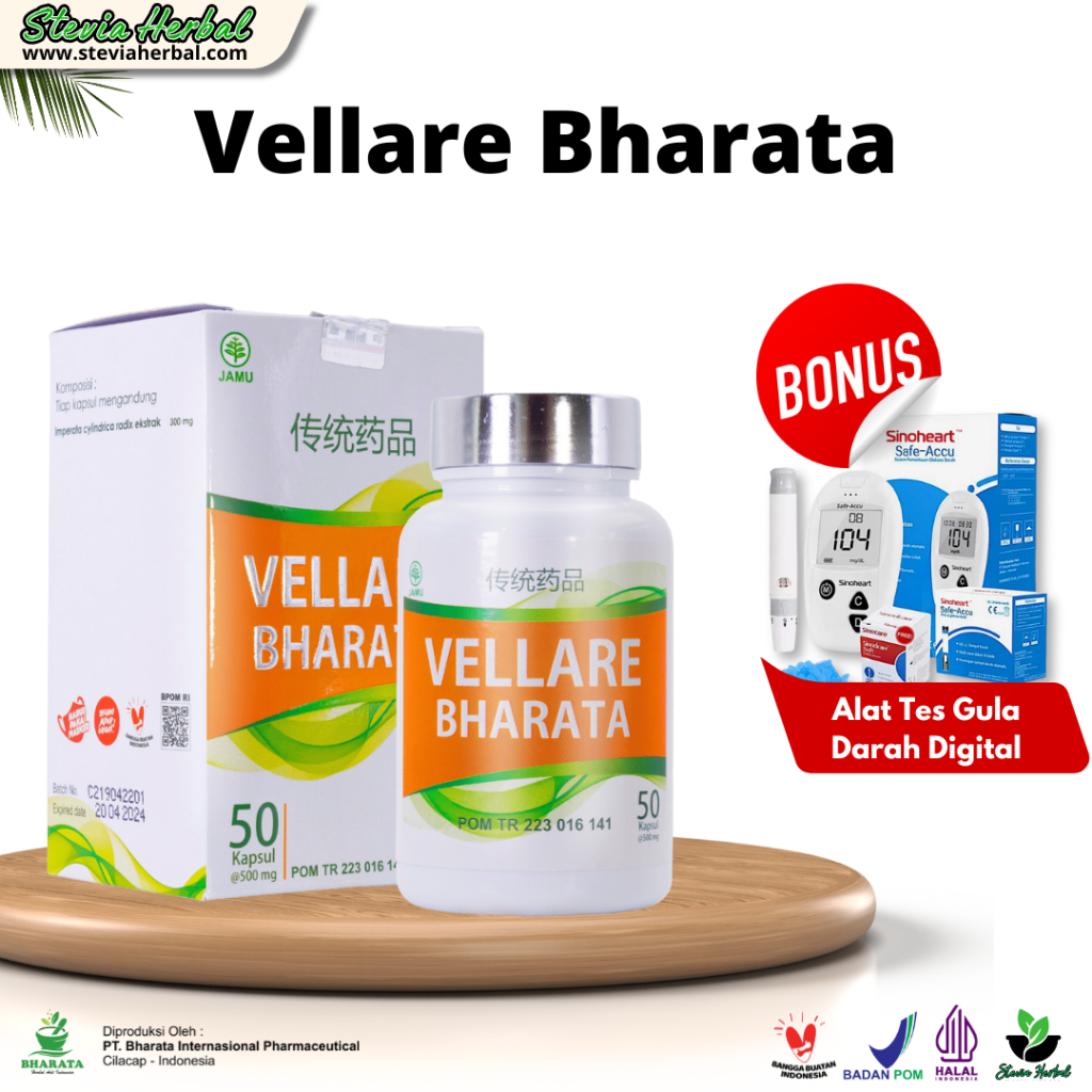 OBAT HERBAL BHARATA - VELLARE BHARATA