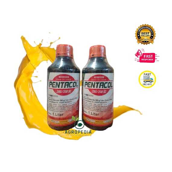 HERBISIDA KONTAK SISTEMIK PENTACOL 1 liter basmi rumput LULANGAN dan ALANG ALANG TUA tua sampai akar