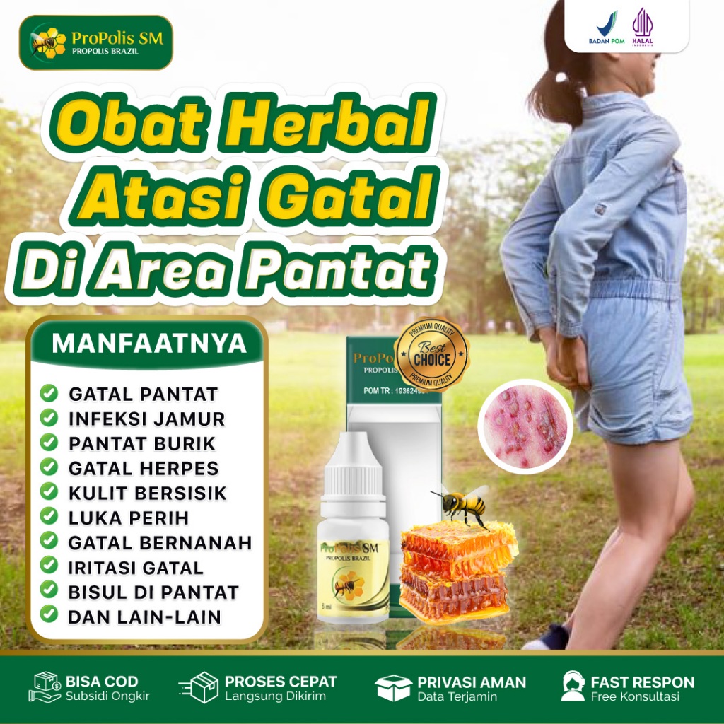Obat Gatal & Bintik Hitam Di Bokong Pantat Bruntusan Propolis SM