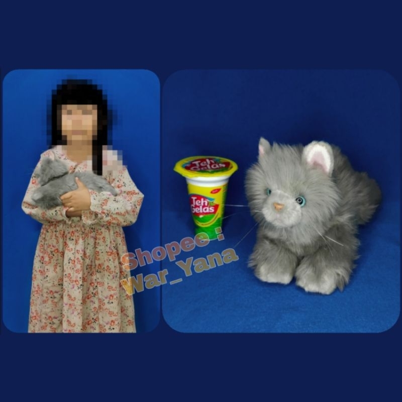 Boneka Kucing Persia Import Original Cat Kitten Kitty Anak Kucing Siam Himalaya Persian Anggora Main