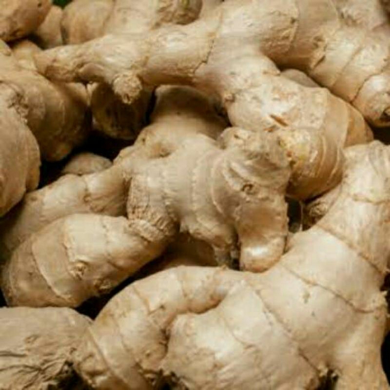 

bumbu dapur jahe segar super fres