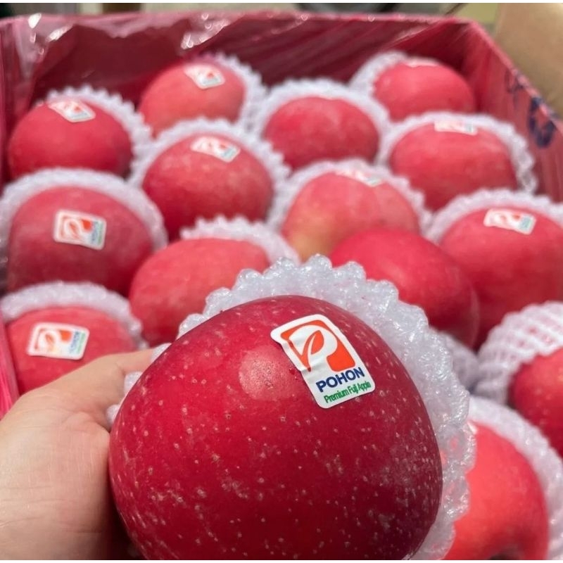 

Apel Fuji Premium Pohon / Apel Super