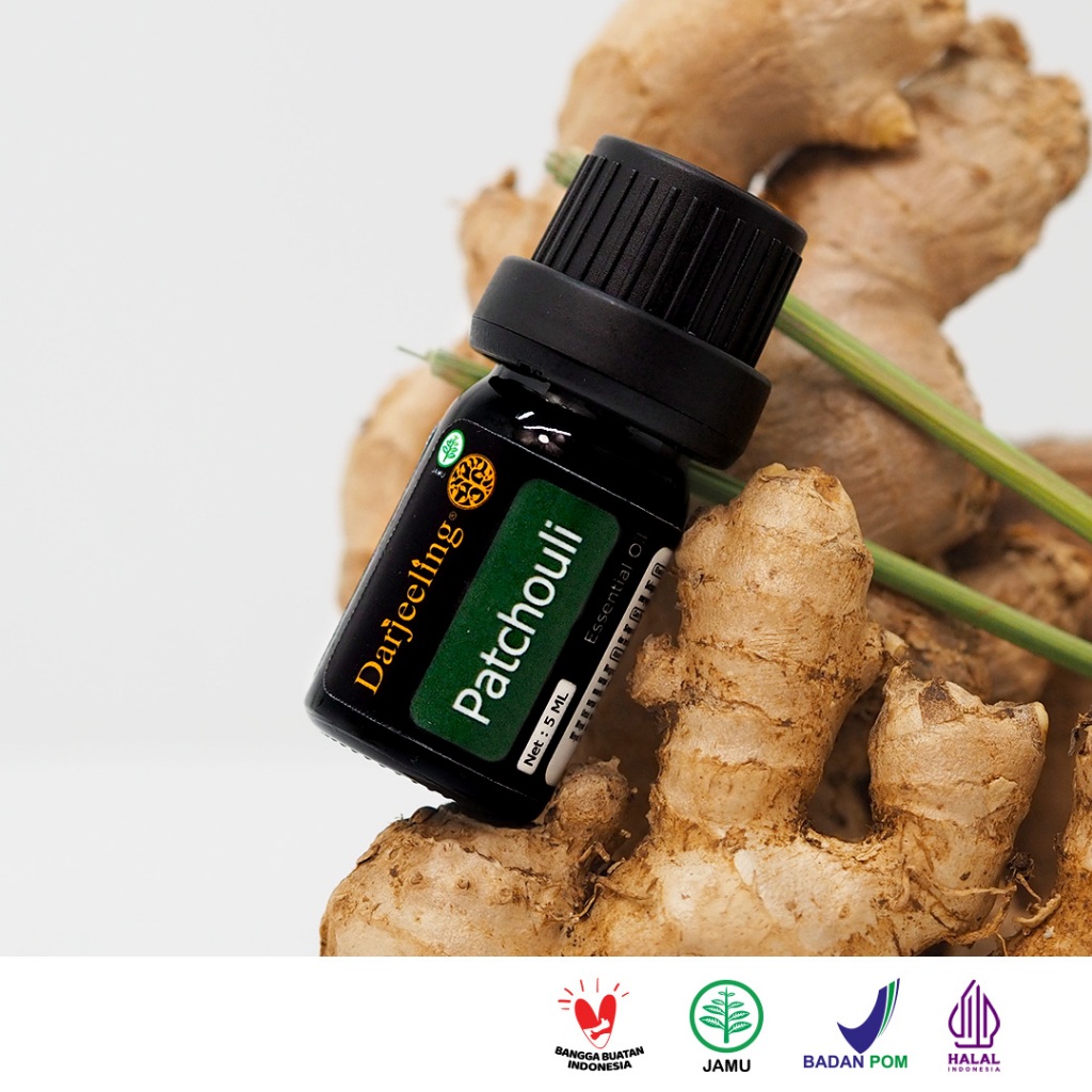 Darjeeling Patchouli Pure Essential Oil / Minyak Nilam Aromaterapi Therapeutic Grade