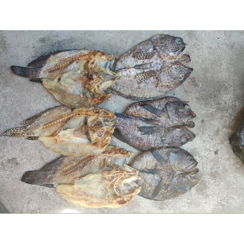 

ikan asin/kering katamba | ikan asin/kering sunu | ikan asin/kering kerapu