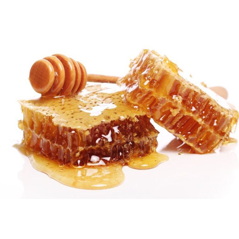 

Sarang Madu Murni - APIS MELLIFERA