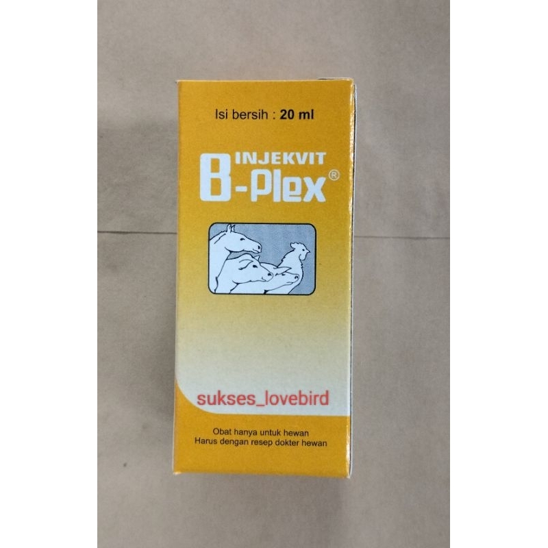 Injeksi vitamin B-Plex 20ml