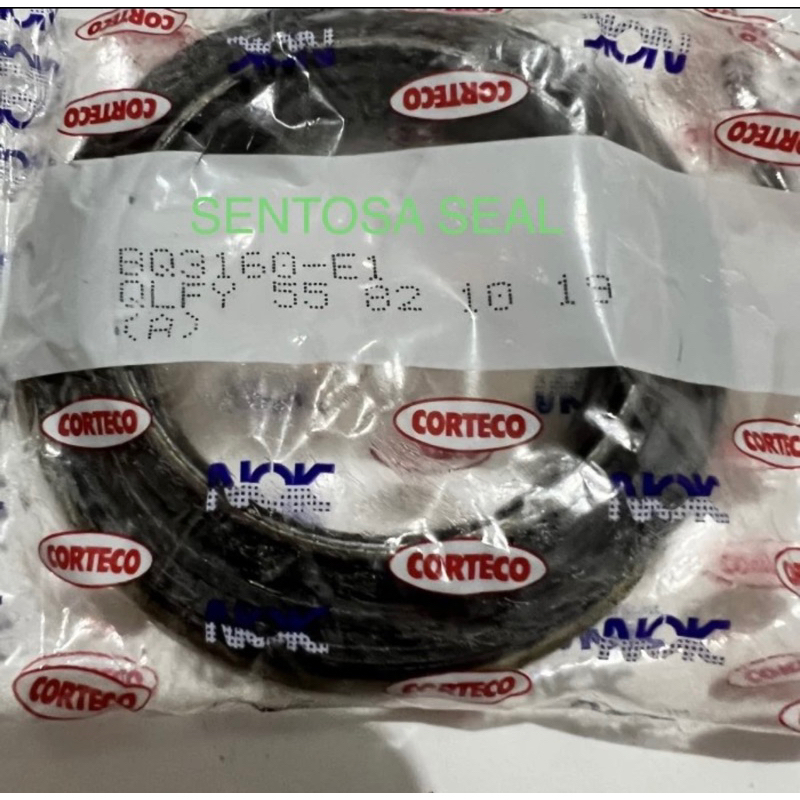 Oil Seal NOK BQ3160E