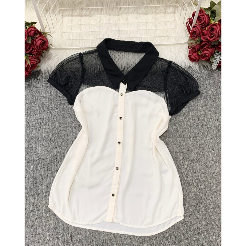 CO1. INGNI pretty top