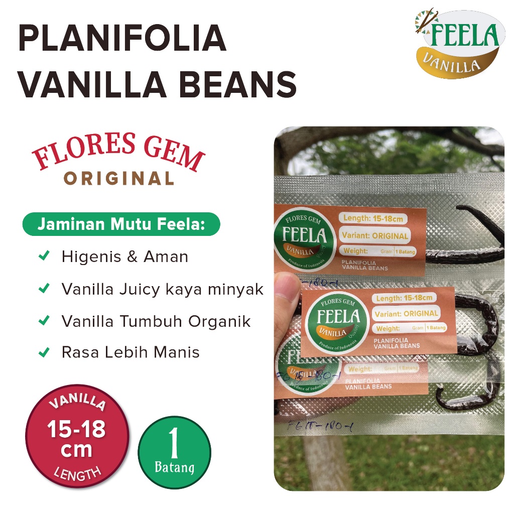 

Vanilla Beans Planifolia / Vanilla Kering Gourmet & Grade A Sample Gem