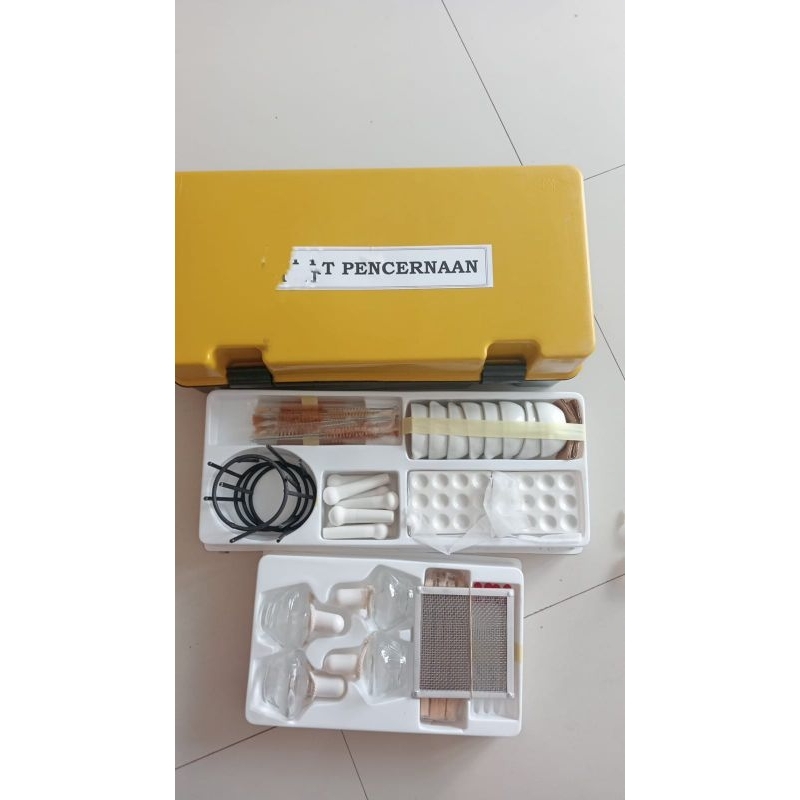 kit pencernaan peraga pendidikan sekolah