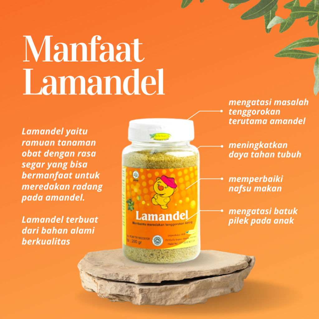 

Lamandel Anak 100gr | Obat Herbal Original Botol Atasi Amandel dengan Efektif