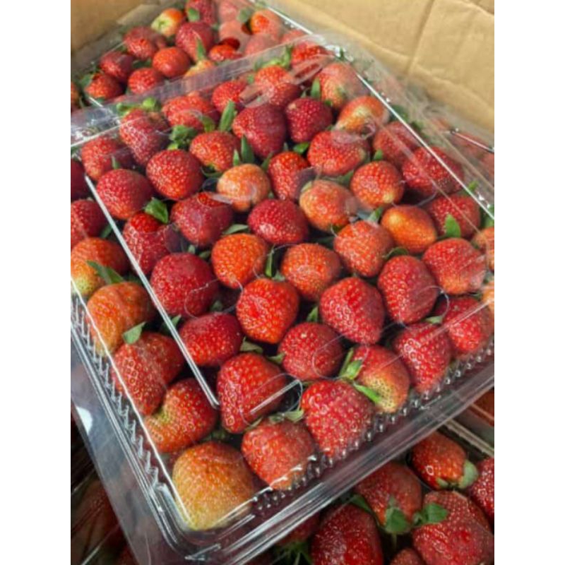 

Strawberry fresh 1kg