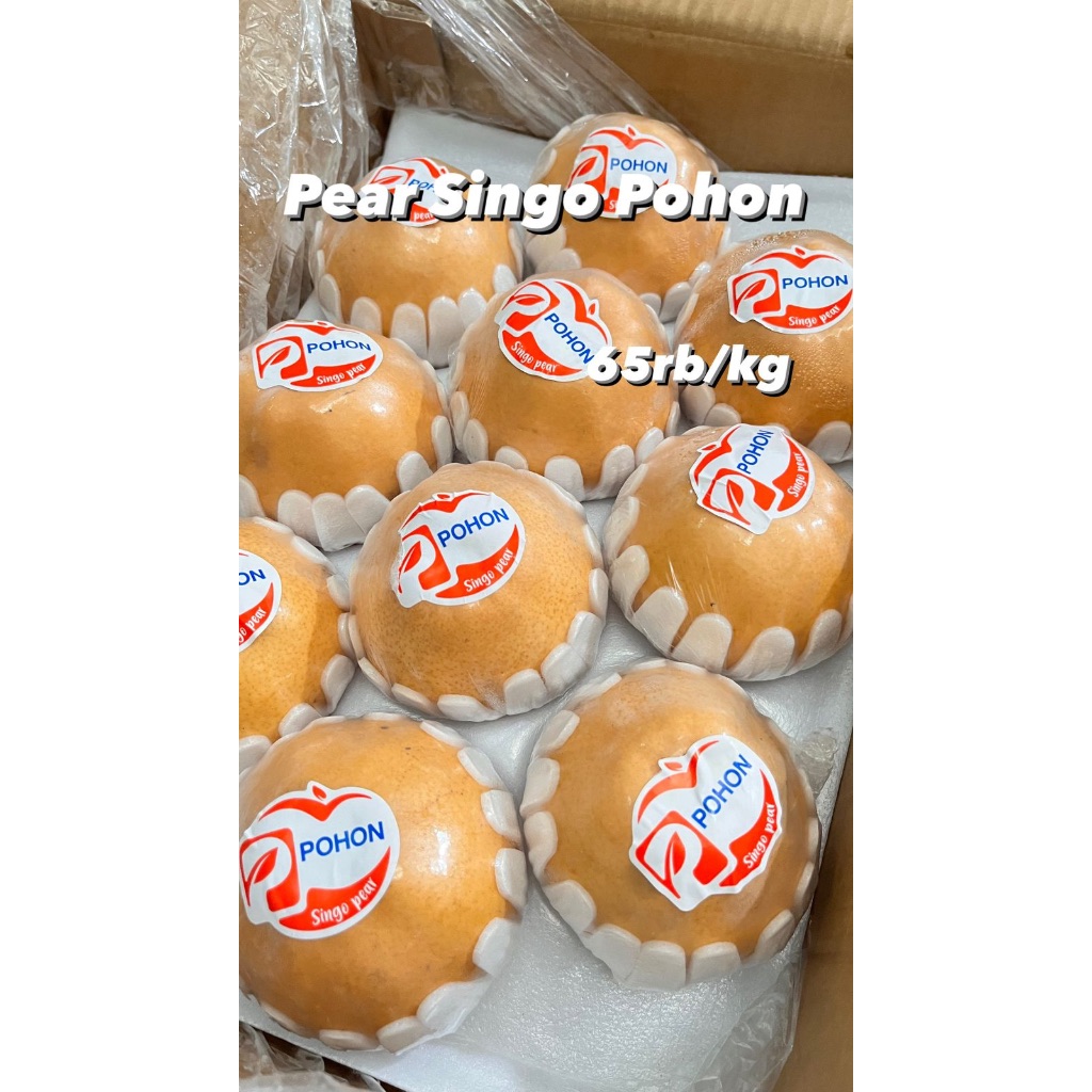 

Pear Singo Pohon