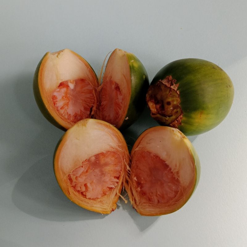 

BUAH PINANG SEGAR 15Biji
