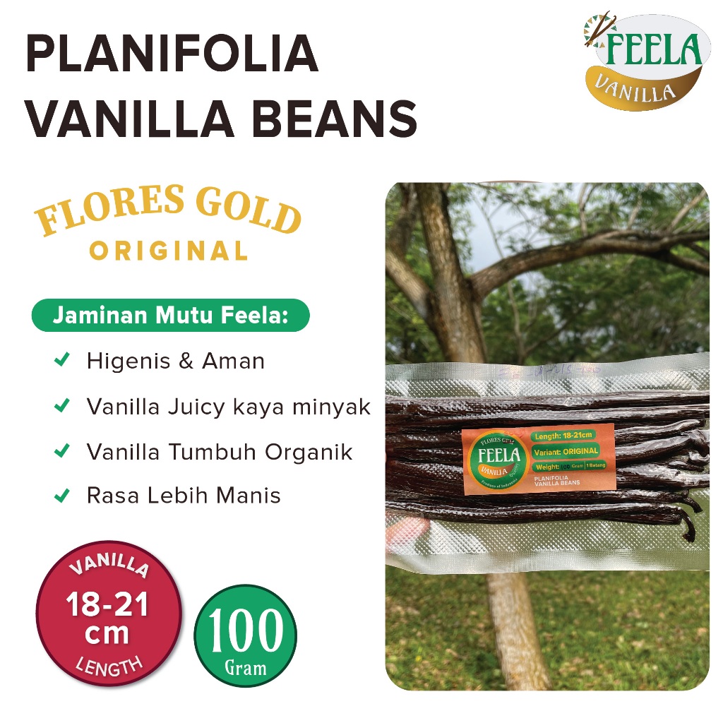 

Vanilla Beans Planifolia Gourmet Flores Gold Original Panjang:18-21cm