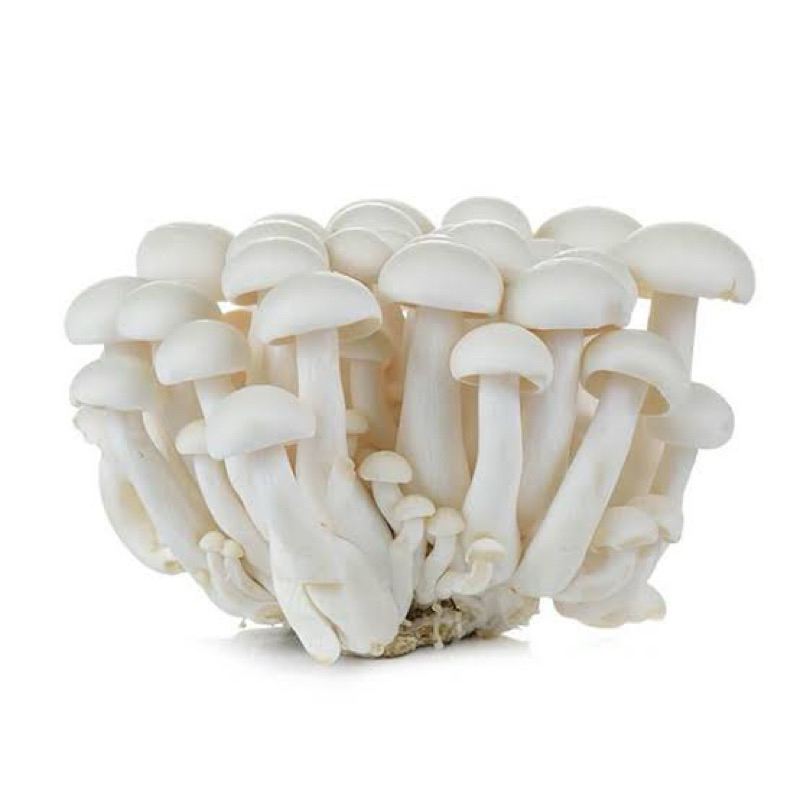 

jamur shimeji putih / white shimeji mushroom 150 gr
