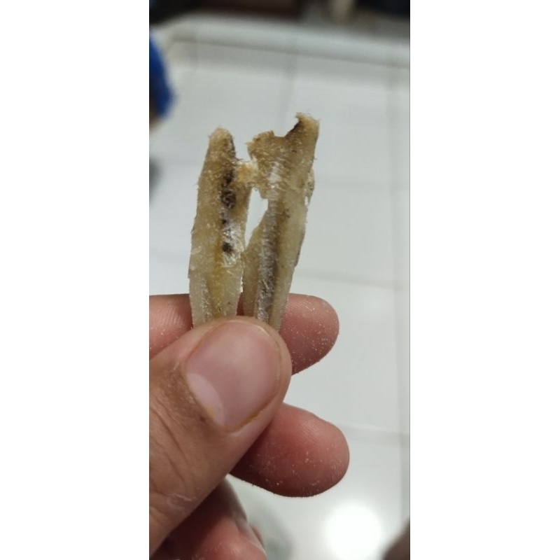 

IKAN ASIN BELAH SIBOLGA / IKAN ASIN ENAK