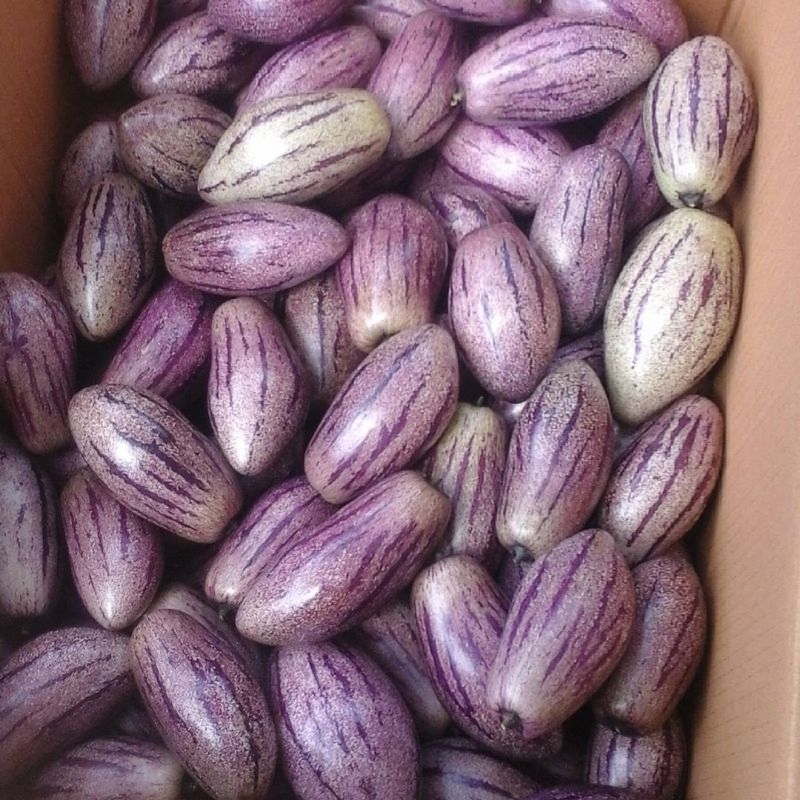 

Buah Pepino Segar 1kg - warna purple